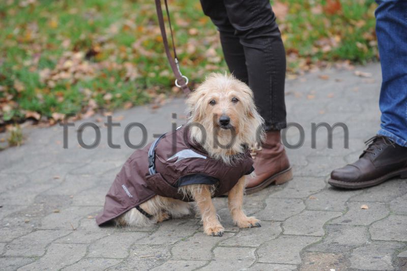 Preview TPS_8092.JPG
