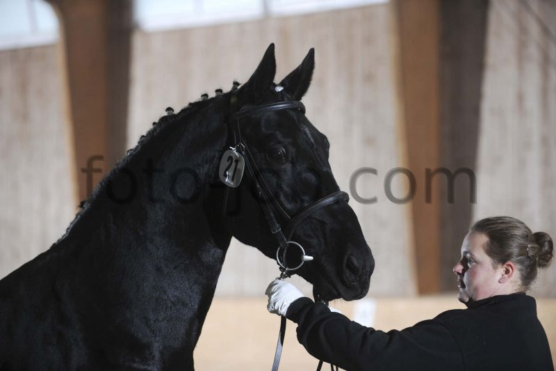 Preview TPS_8119.JPG