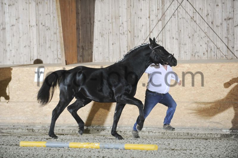 Preview TPS_8132.JPG
