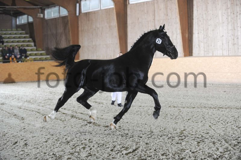 Preview TPS_8147.JPG