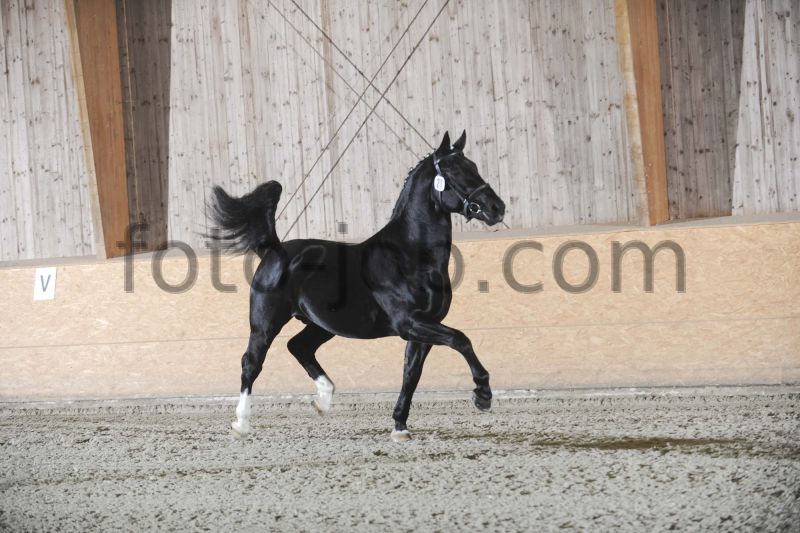 Preview TPS_8151.JPG