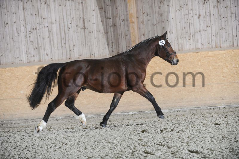 Preview TPS_8152.JPG